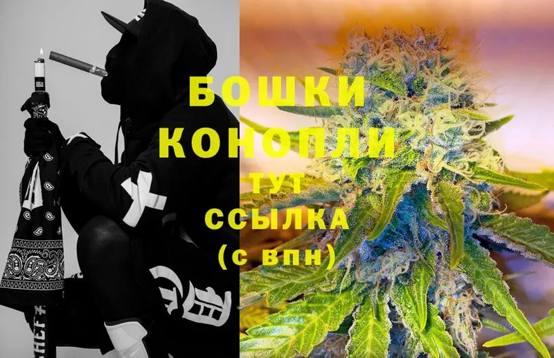 Бошки Шишки SATIVA & INDICA  Опочка 